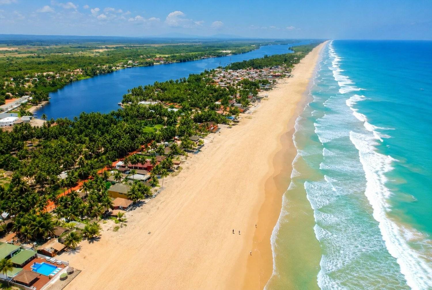 Assinie Beach With Palm Trees And Ocean