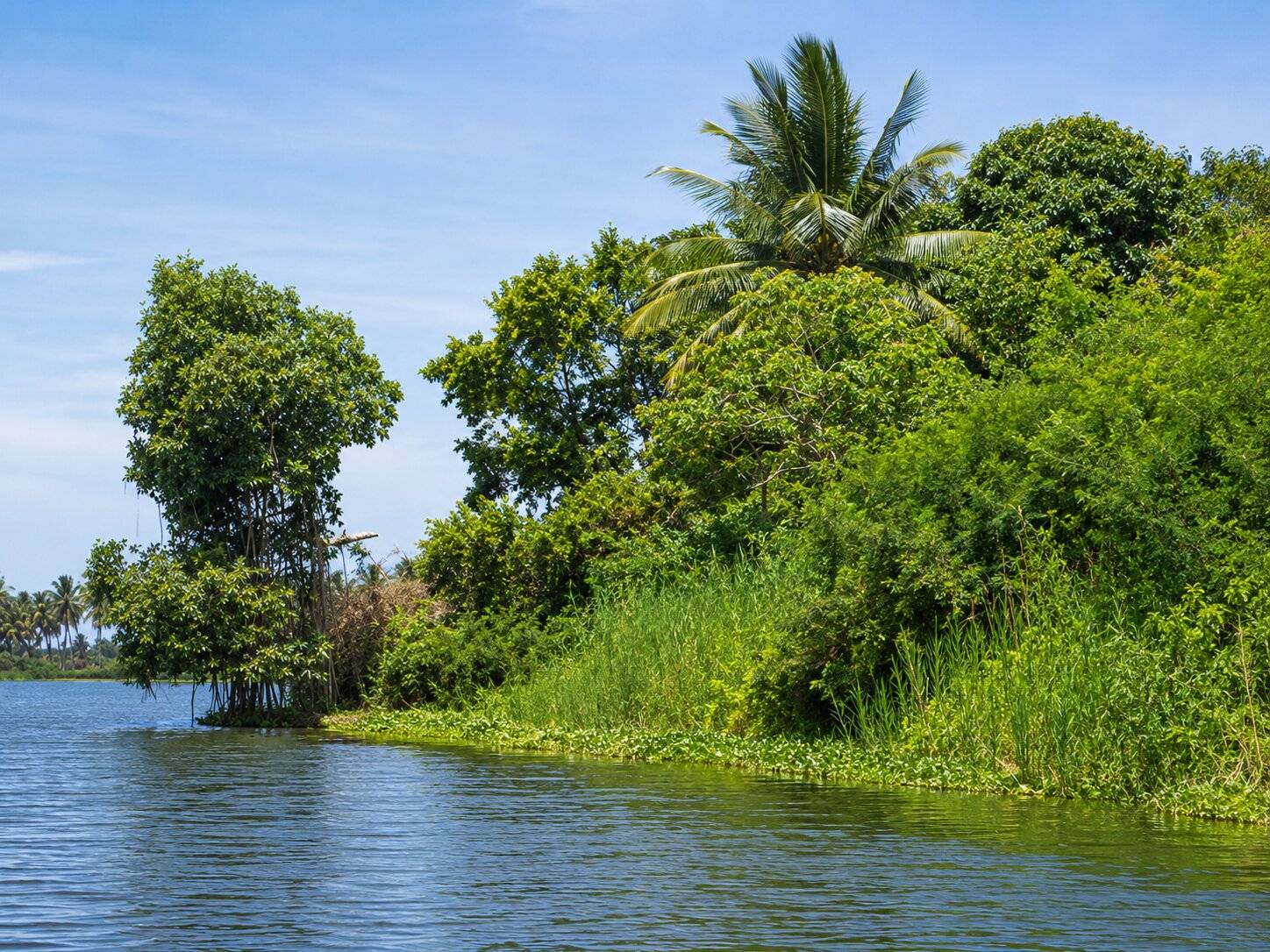 Azagny National Park Ivory Coast