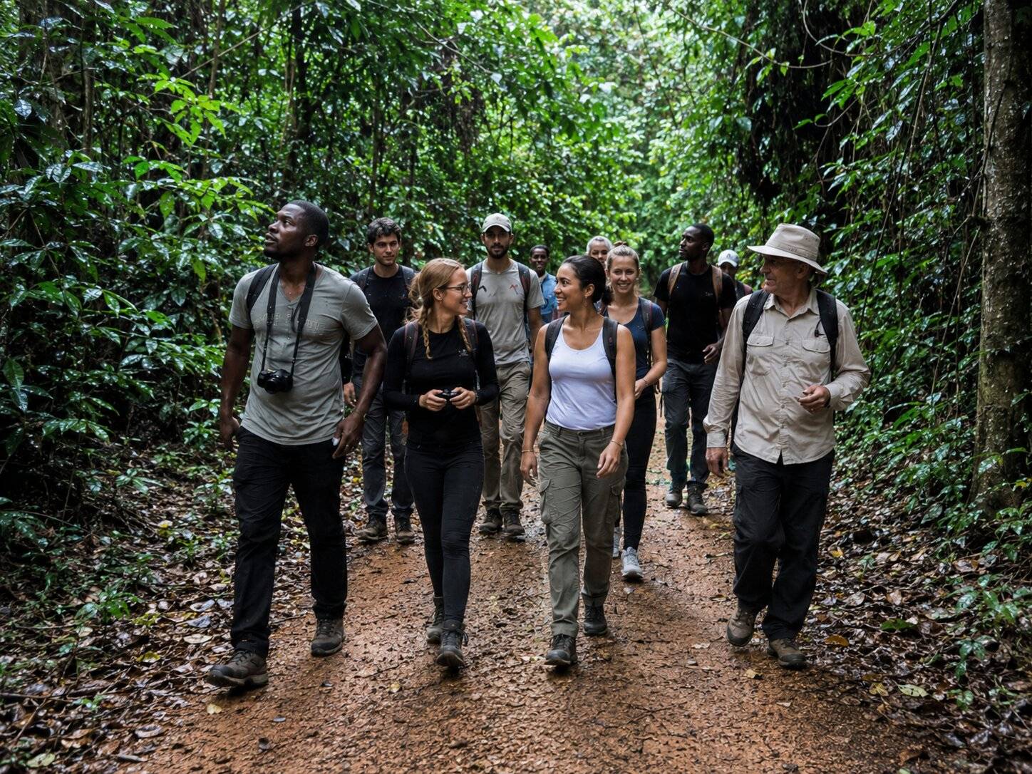 Banco National Park Ivory Coast