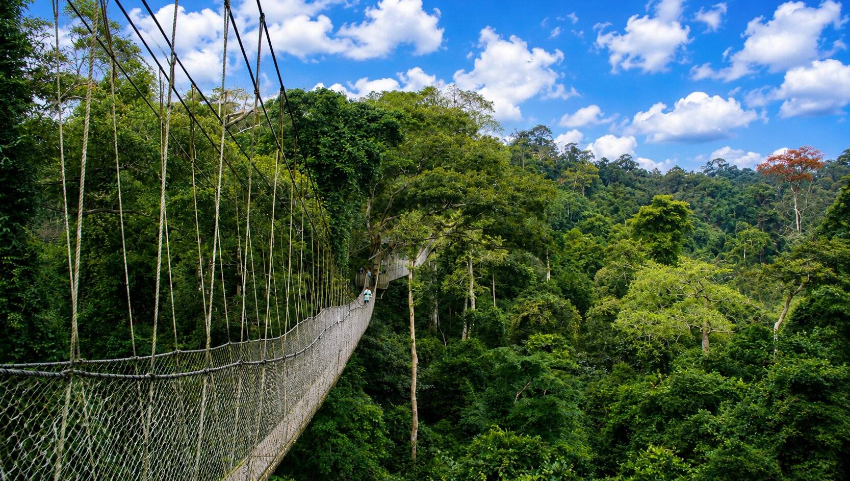 Banco National Park walking trail