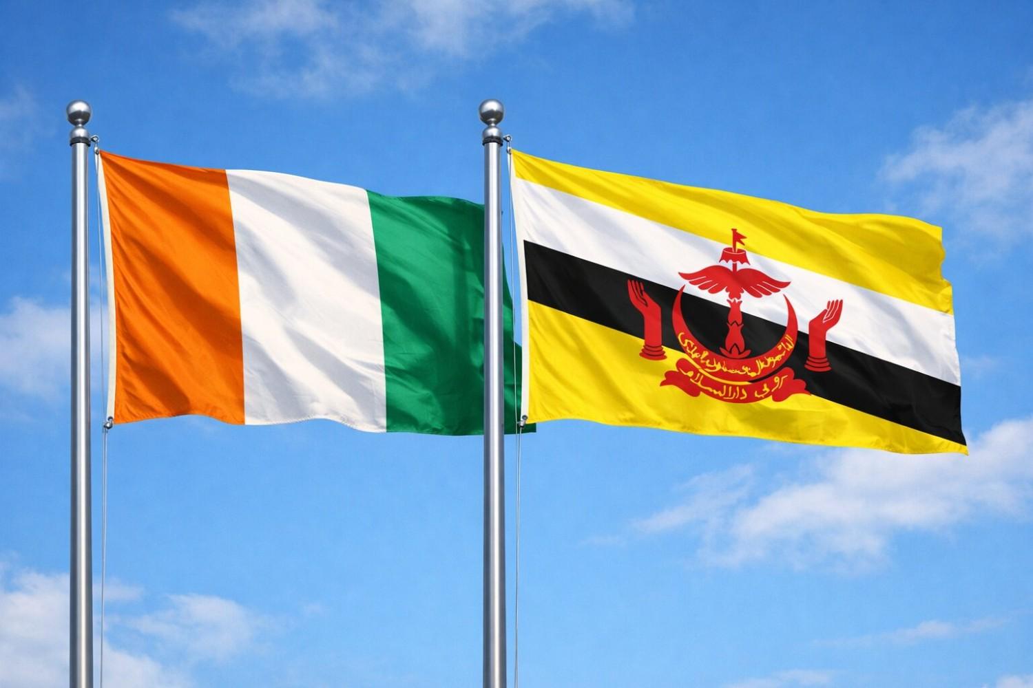 Brunei And Ivory Coast Flag