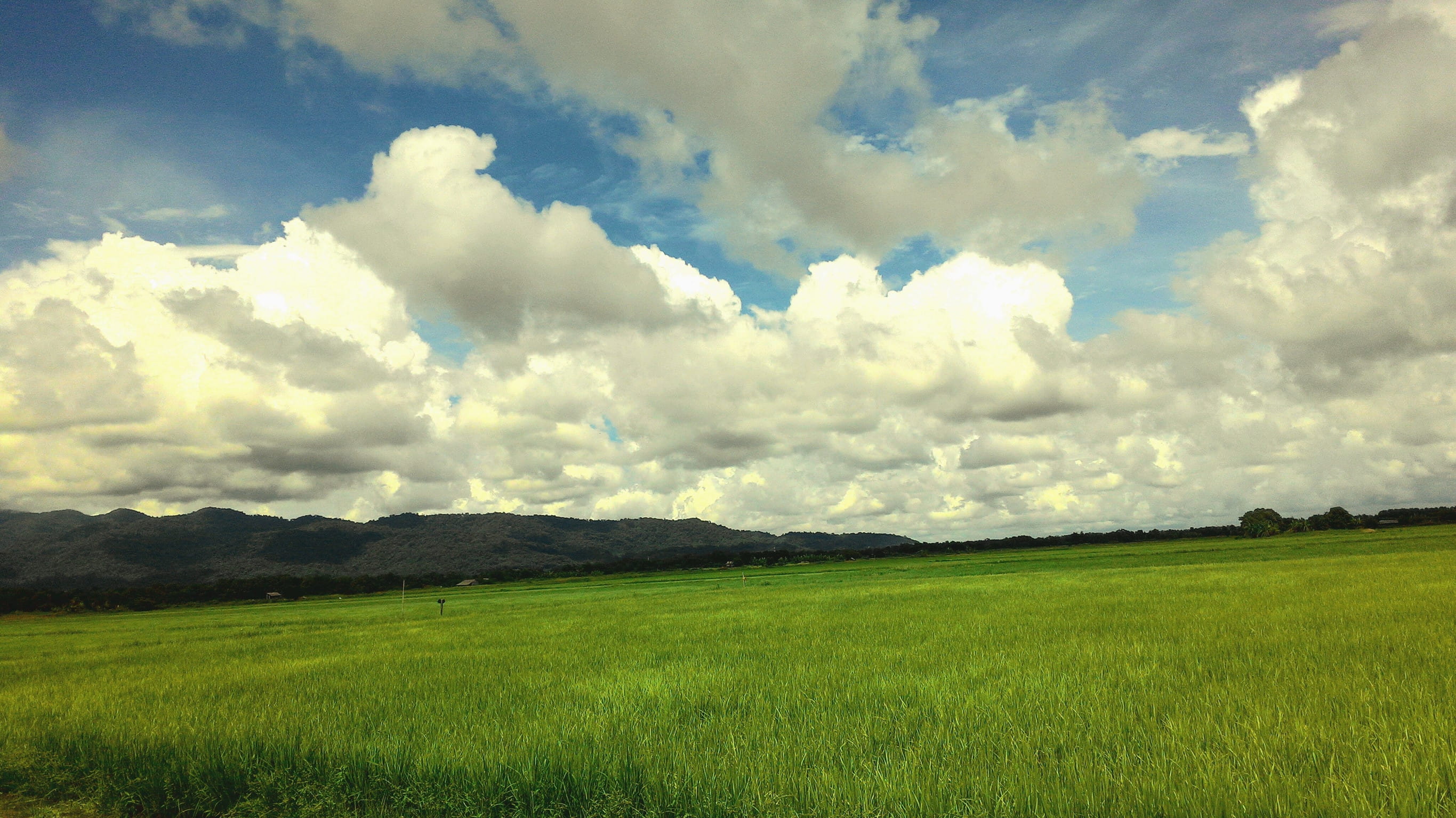 Cloud in rainy season