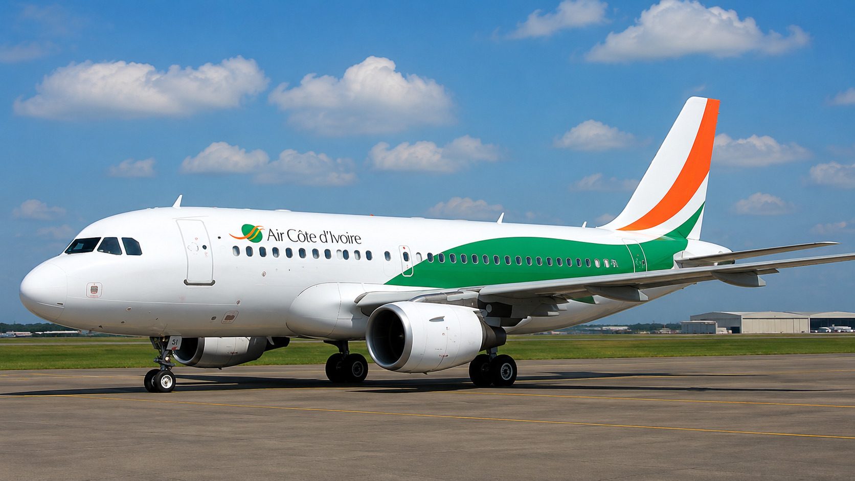 Domestic Flight