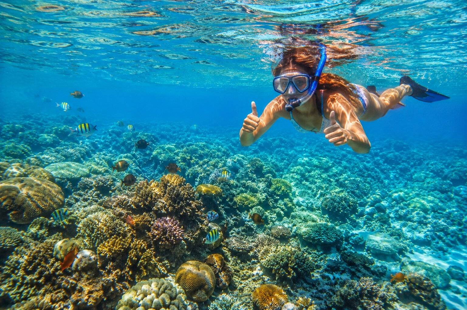 Tropical reef snorkelling adventure underwater