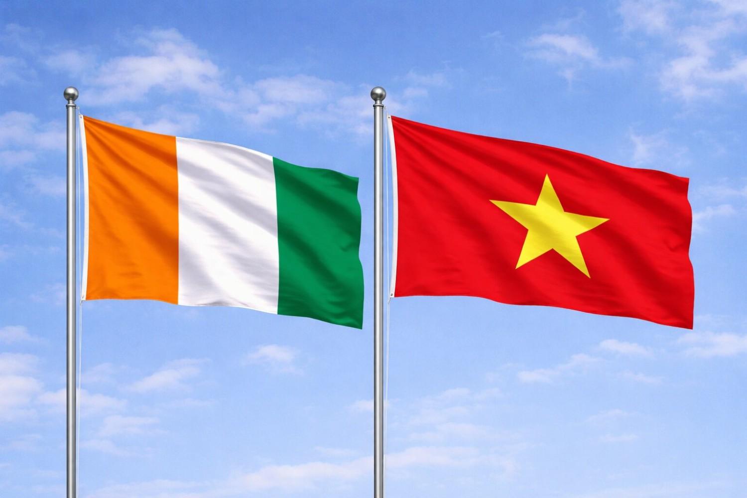 Vietnam And Ivory Coast Flag