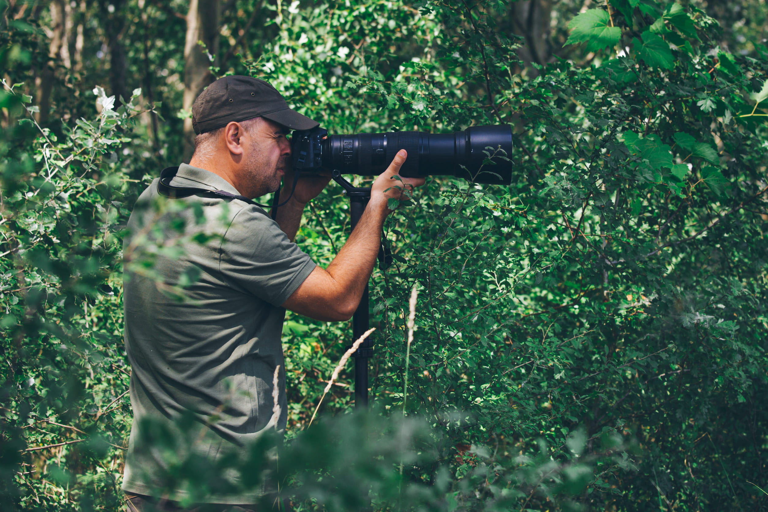 Wildlife photography in jungle environment